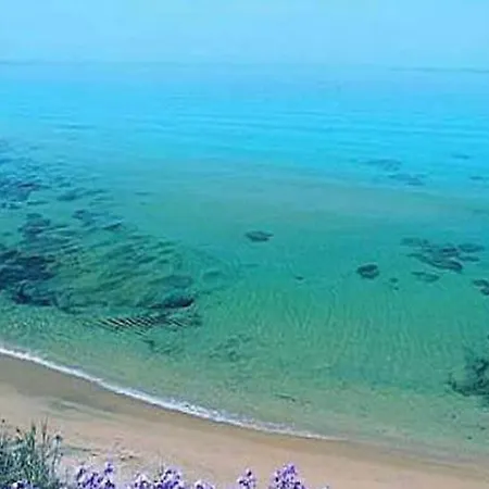 Panorama *